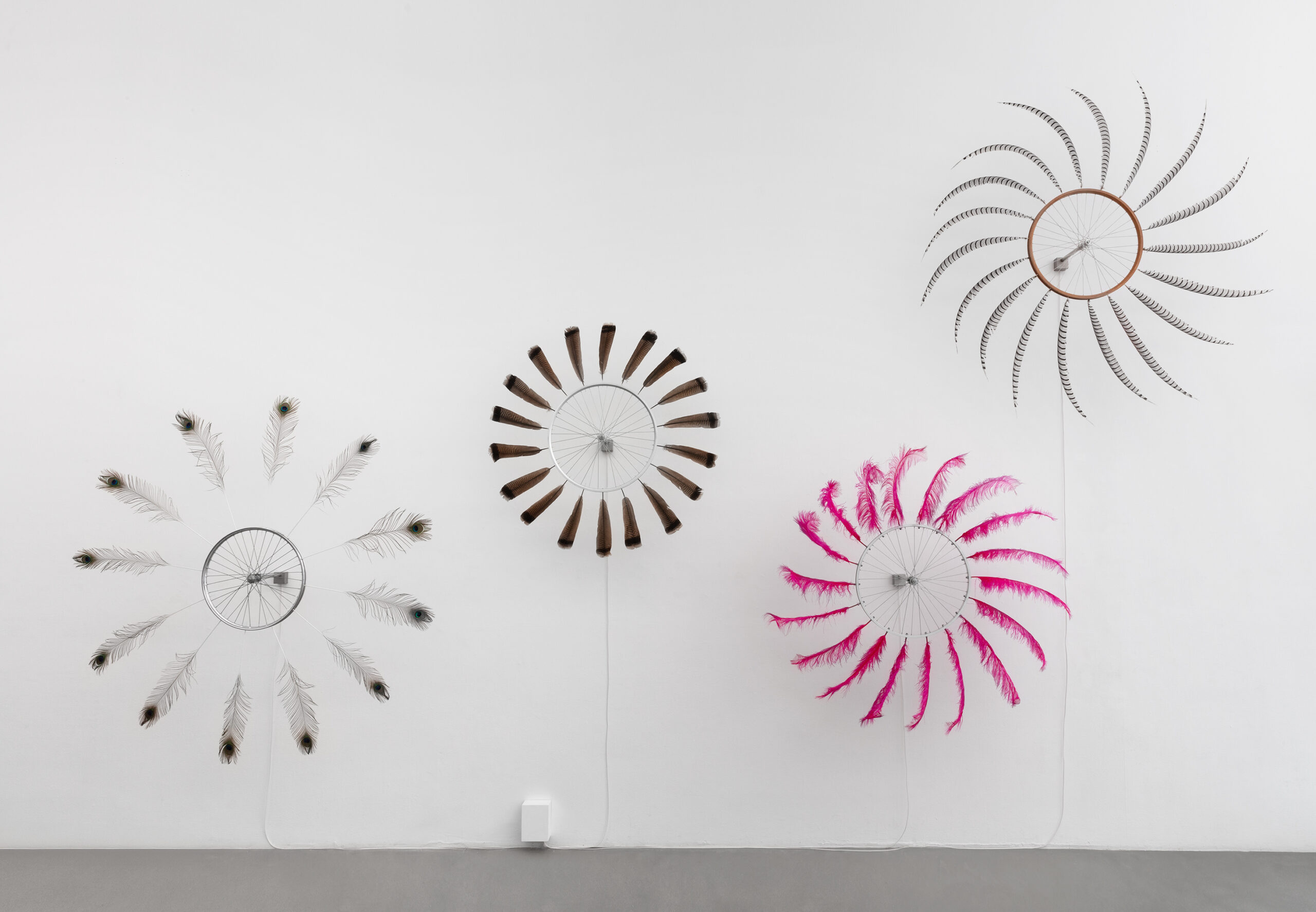 Paola Pivi. Art of universe