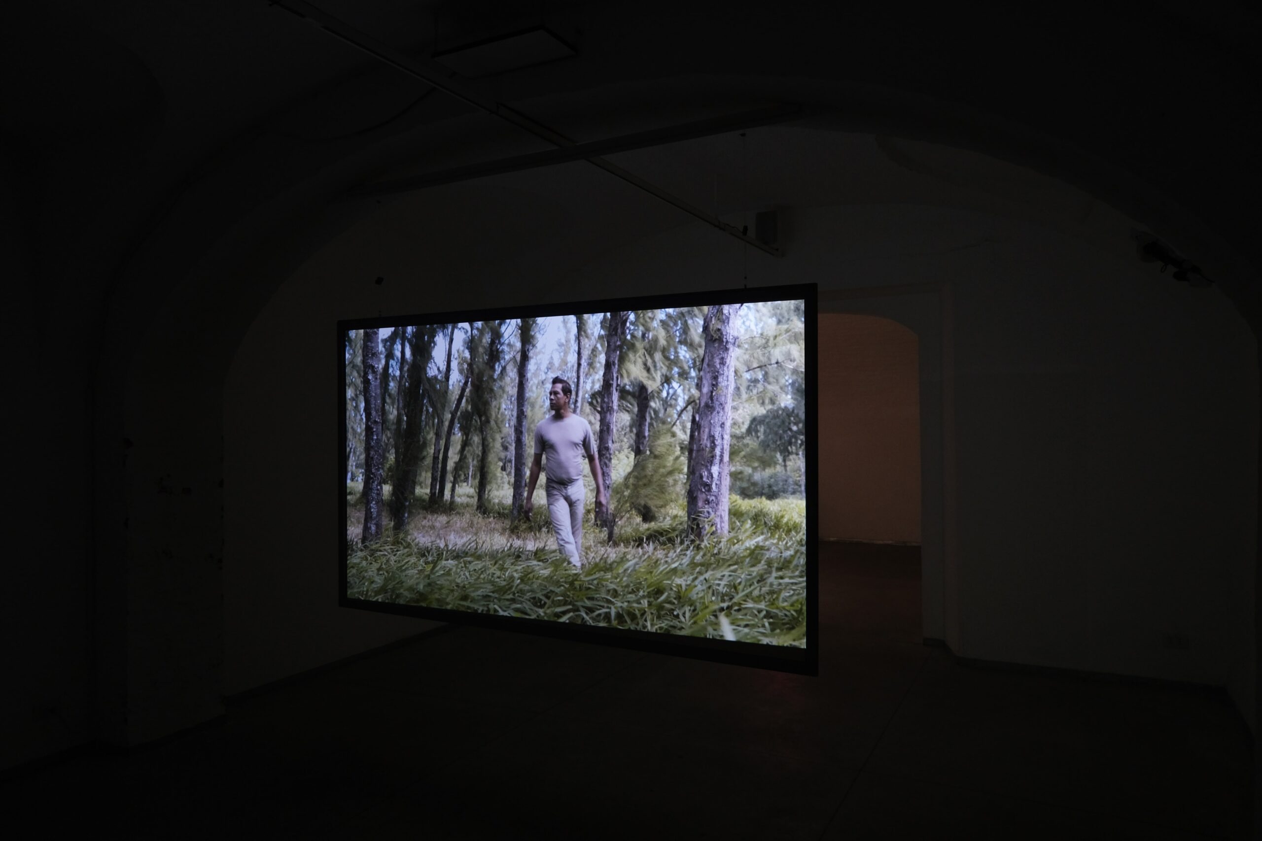 Landslides, Parallel Visions, Katja Novitskova / Palazzo Re Rebaudengo, Guarene