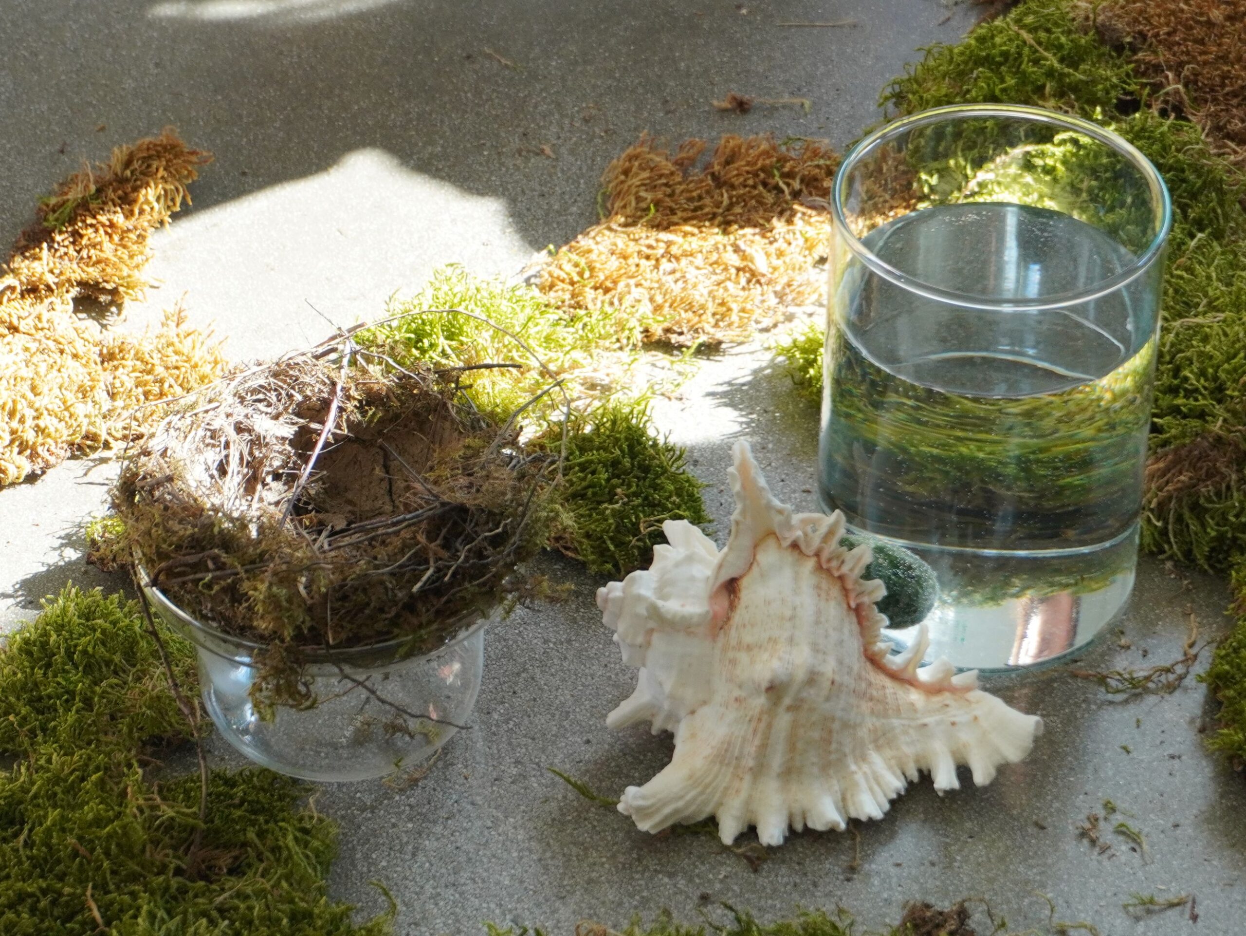 NIDO | Il Corpo come Archivio Sensoriale