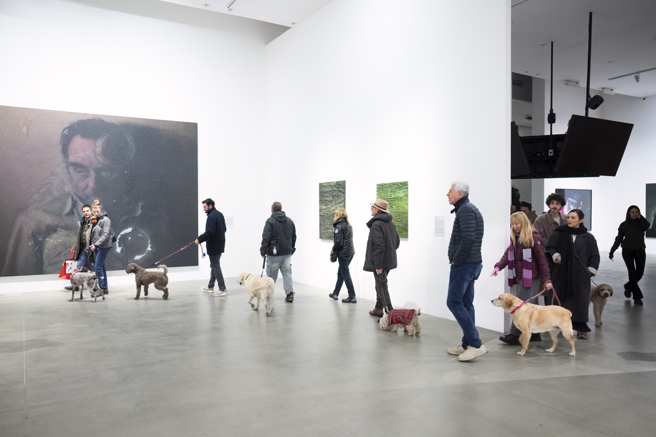 OccuBAUsandretto: visita esclusiva solo per persone con cani alla Fondazione Sandretto Re Rebaudengo