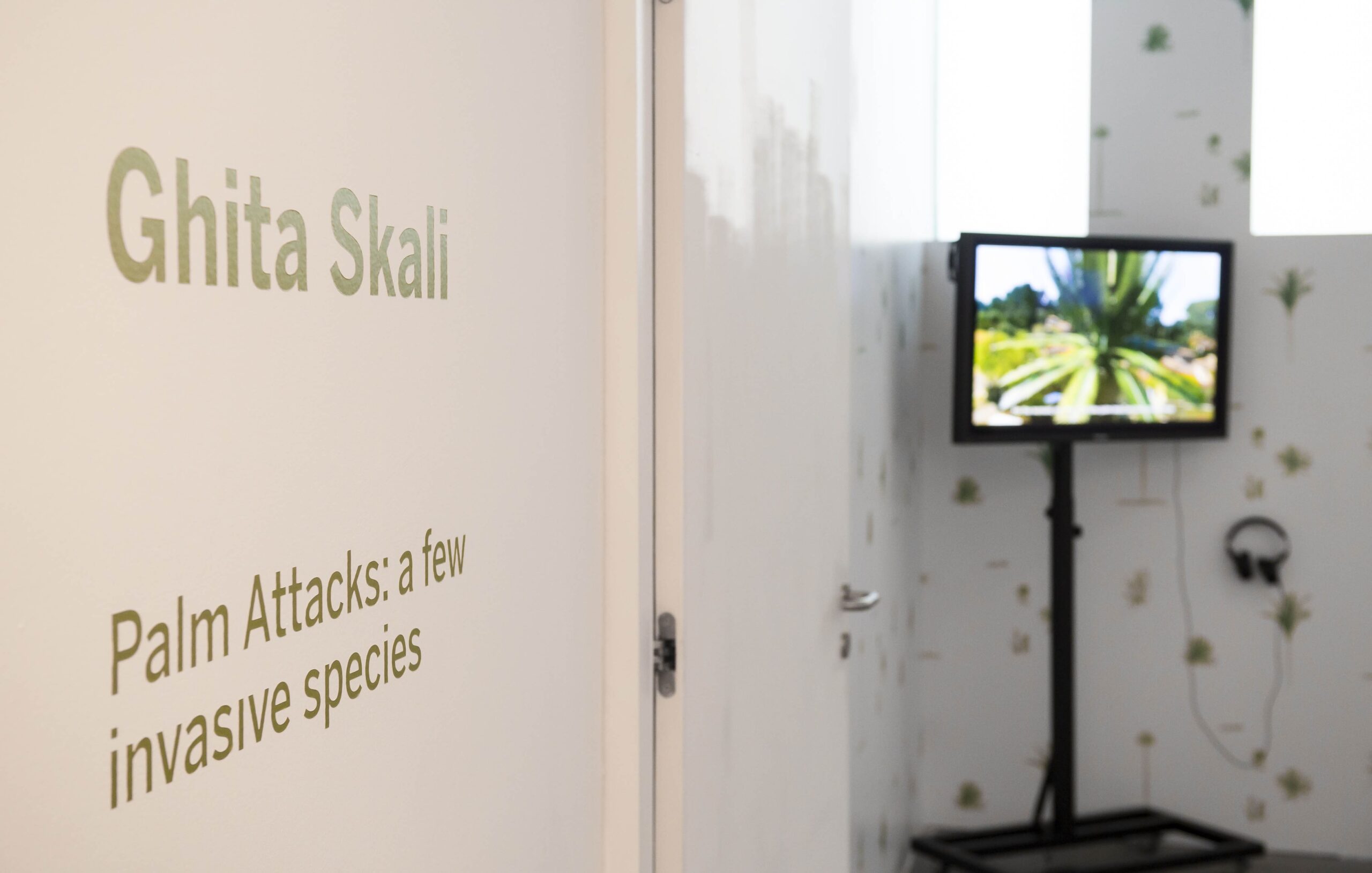 Ghita Skali - Palm Attacks: a few invasive species