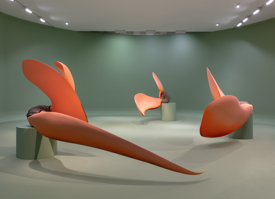 Teresa Solar Abboud. Bird Dream Machine