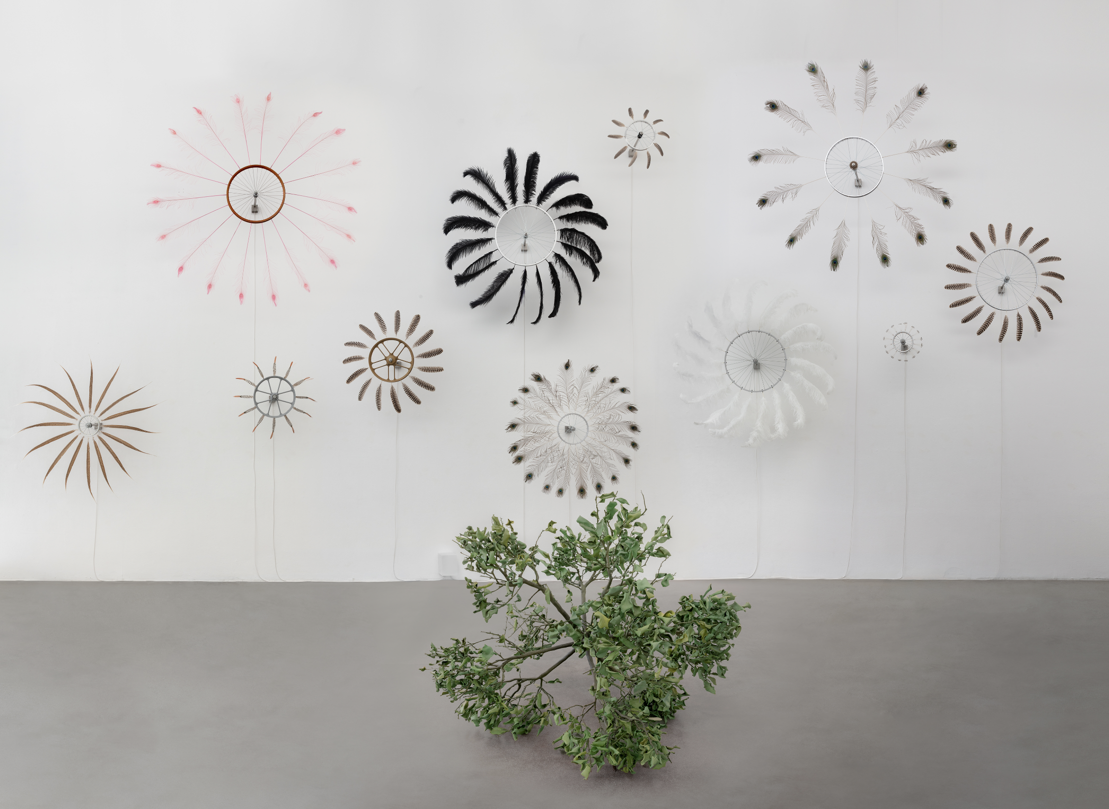 Paola Pivi. Art of universe